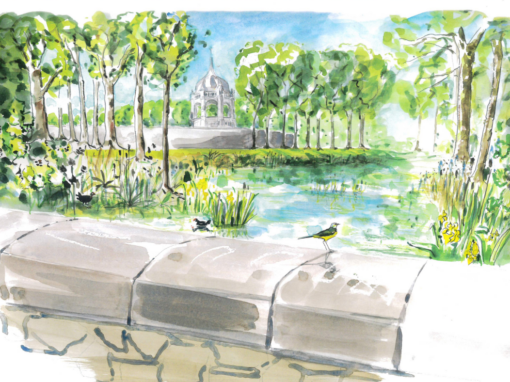 Action 1 – Protection du site
